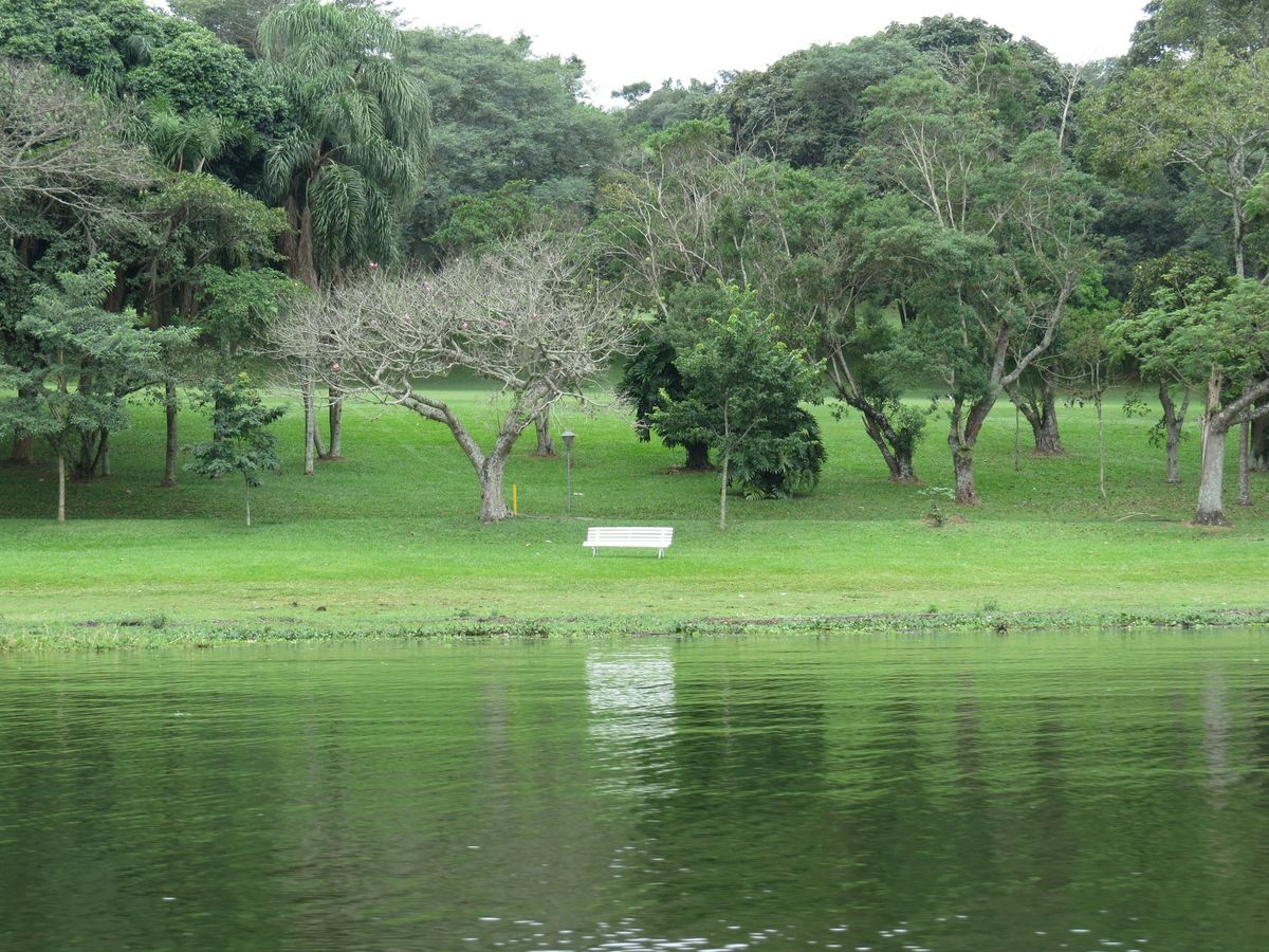 Gramado e árvores às margens da Represa de Guarapiranga